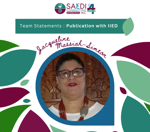 SAEDI Consulting Barbados Inc - Celebrating 4 Years of SAEDI Consulting - Team Statement #2
