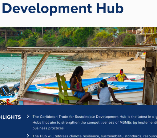 SAEDI Consulting Barbados Inc - New Sustainable Development Hub Established
