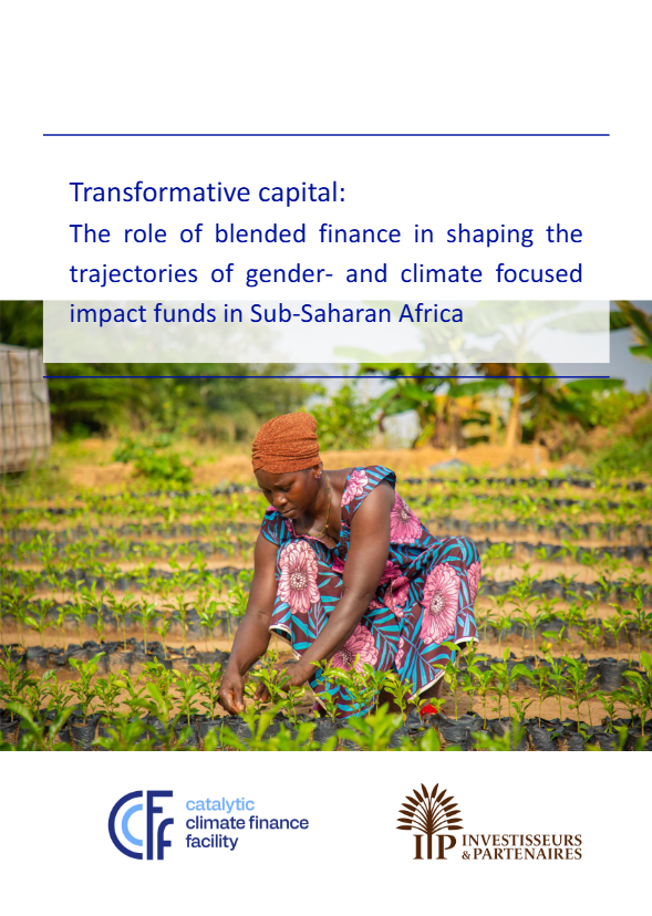 SAEDI Consulting Barbados Inc: Publications 1