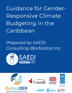 Gender-responsive Climate Budgeting Workshop for UN Women | SAEDI Consulting Barbados Inc