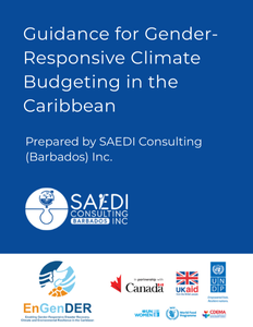 Gender-responsive Climate Budgeting Workshop for UN Women | SAEDI Consulting Barbados Inc