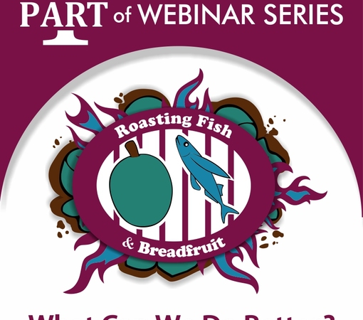SAEDI Consulting Barbados Inc - Inaugural SAEDI Conversations Corner Webinar