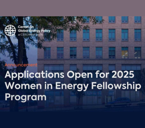 SAEDI Consulting Barbados Inc - Apply for the 2025 Women in Energy Fellowship | Applications close today!