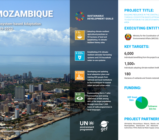 SAEDI Consulting Barbados Inc - Ecosystem-based Adaptation in Mozambique 2019-2023