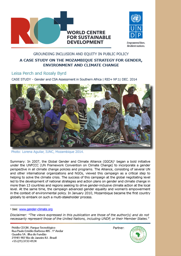SAEDI Consulting Barbados Inc: Publications 4
