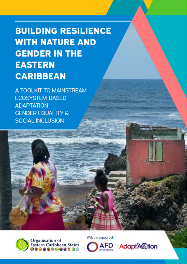 SAEDI Consulting Barbados Inc: Publications 5