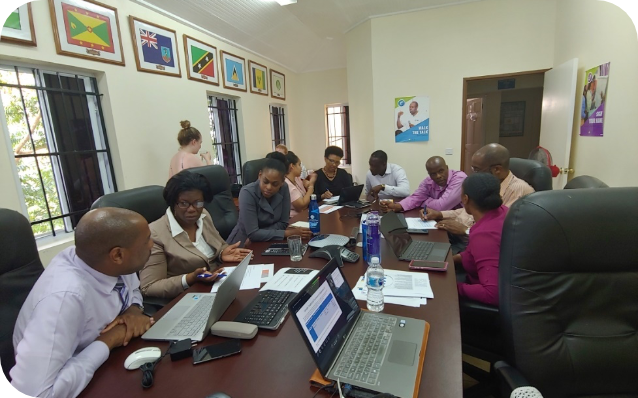SAEDI Consulting Barbados Inc - Who We Are